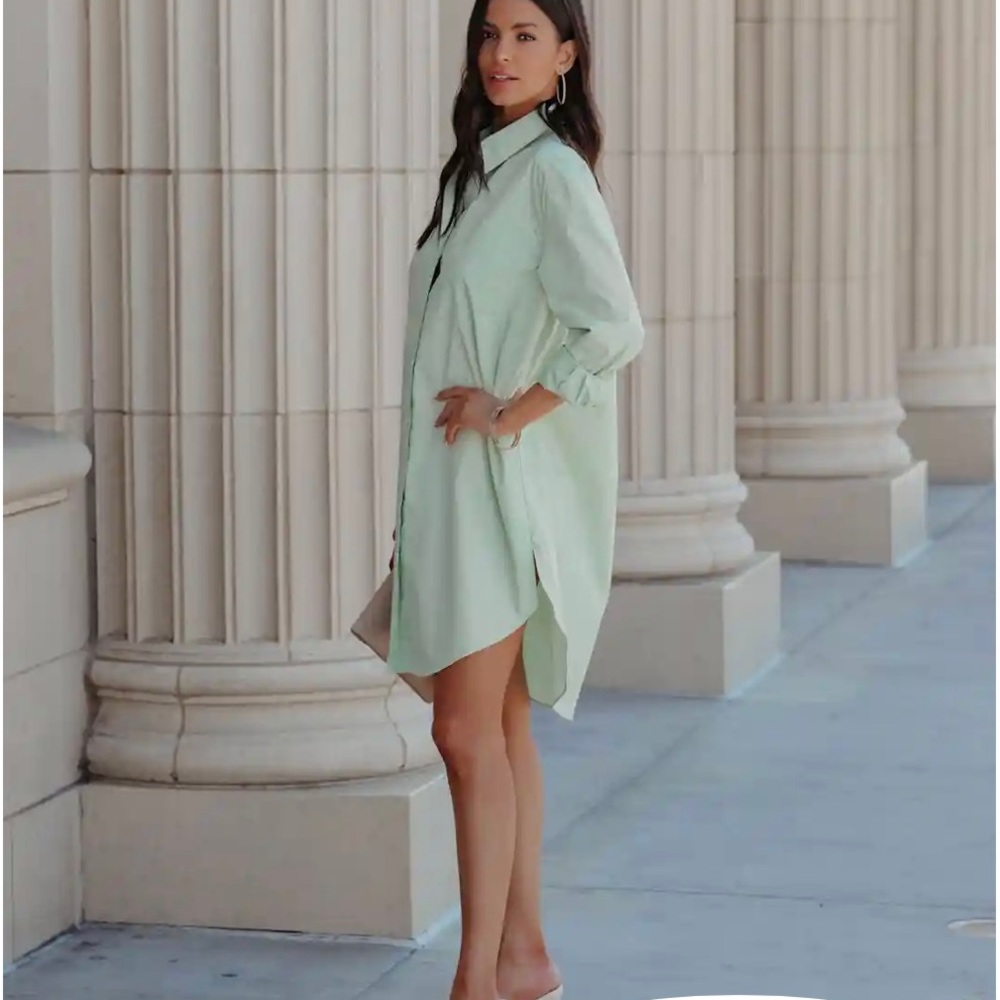 VICI: Harmony Cotton Button Down Shirt Dress - Pistachio - Medium - LIKE NEW - Picture 7 of 8